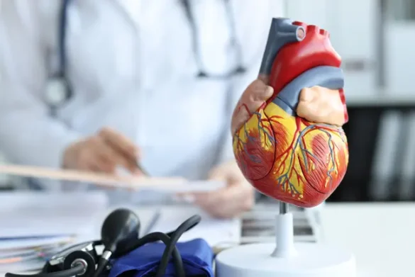 BVMed_AdobeStock_482640125 MedTech